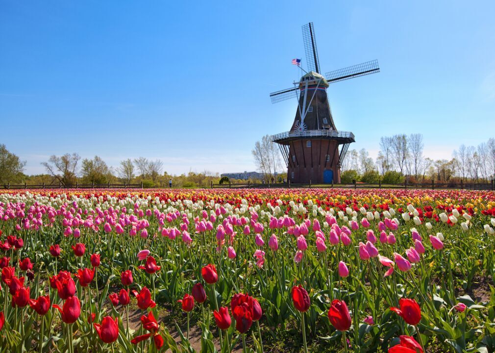 #4. Holland, Michigan